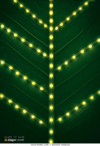 پوستر نور زندگیست