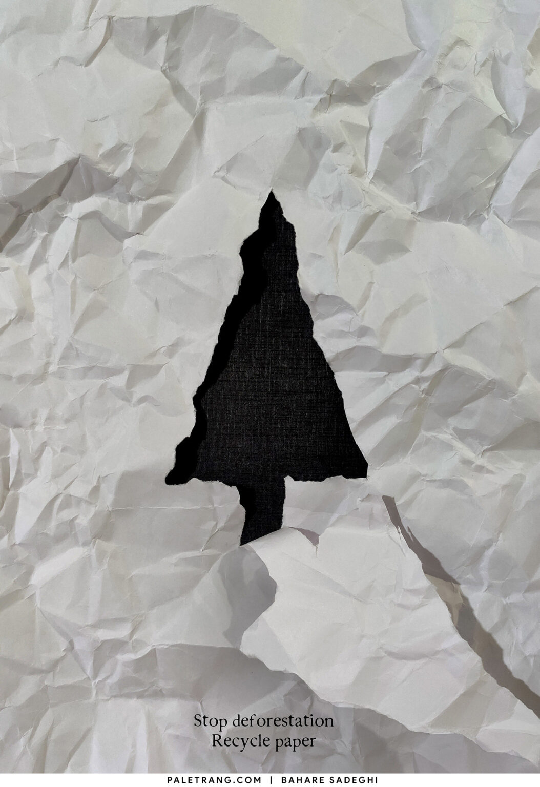 Stop deforestation recycle paper