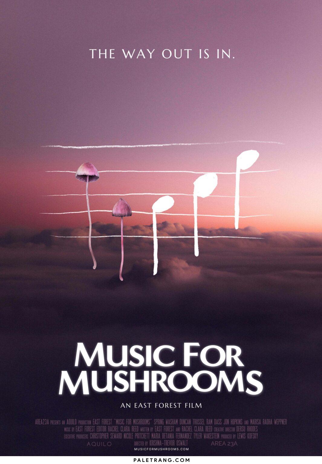 Music for Mushrooms (2024)