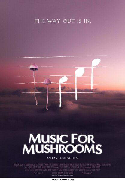 Music for Mushrooms (2024)