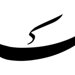 Profile photo of Ahmad Abdollahi