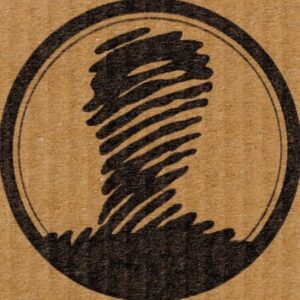 Profile photo of Amin Hojati