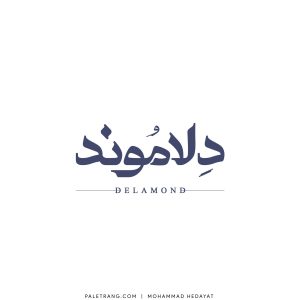 mohammad-hedayat-logo-paletrang-0021